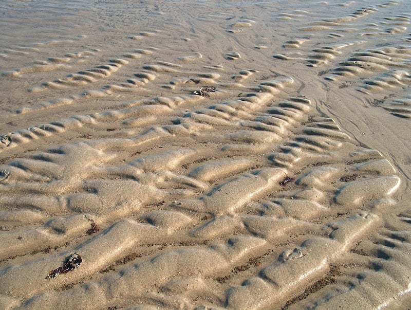 Social Media Integration